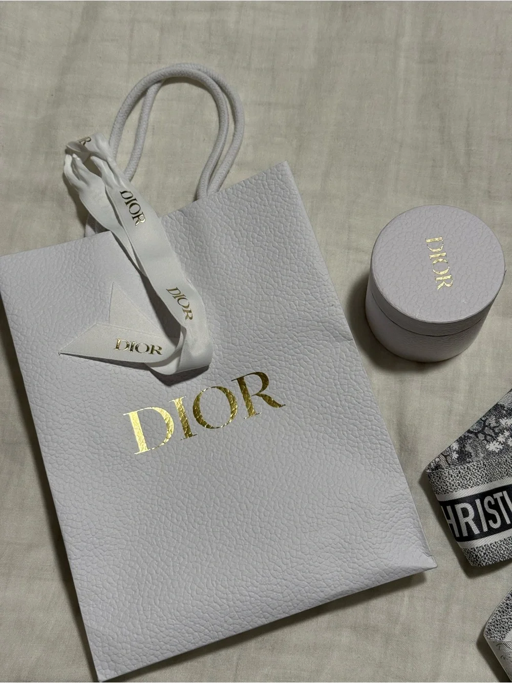 Dior Ivory and Gray Toile de Jouy Sauvage Mitzah Scarf - new